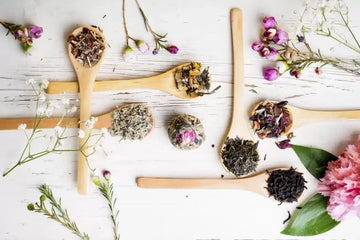 Aroma Terapia: Descubra o Poder dos Óleos Essenciais