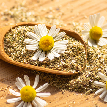 🌼🌿Desvende o Poder da Camomila Romana da Natural Oil para o Seu Bem-Estar! 🌼🌿