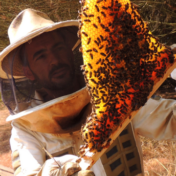 A Importância do Apicultor: Protetores das Abelhas e Produtores de Mel