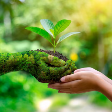 Natural Oil se Compromete com o Meio Ambiente no Dia Mundial do Meio Ambiente