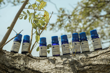 Mergulhe nas Linhas de Óleos Essenciais da Natural Oil: Um Mundo de Aromas e Benefícios Naturais