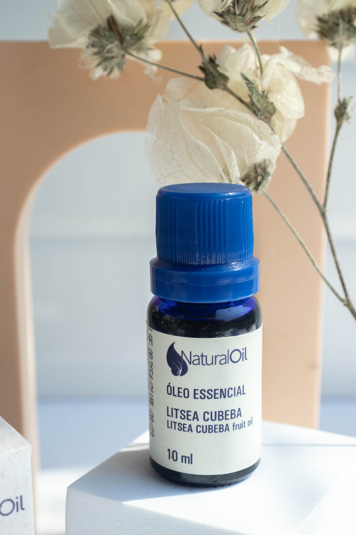 Dicas de Uso dos Óleos do Mês: Eucalyptus Globulus e Litsea Cubeba
