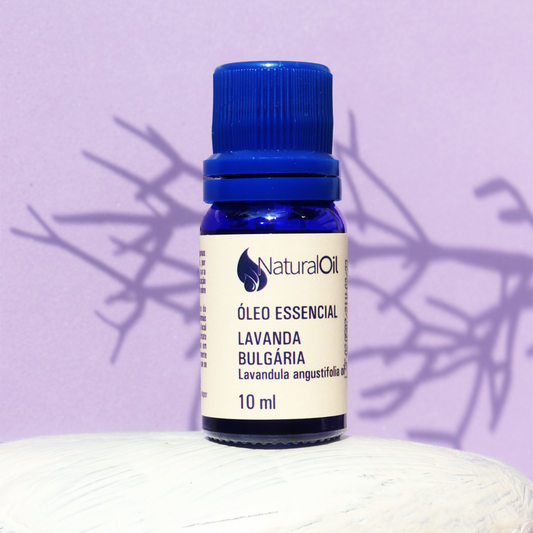 Lavanda Bulgária: Benefícios do Óleo Essencial Puro