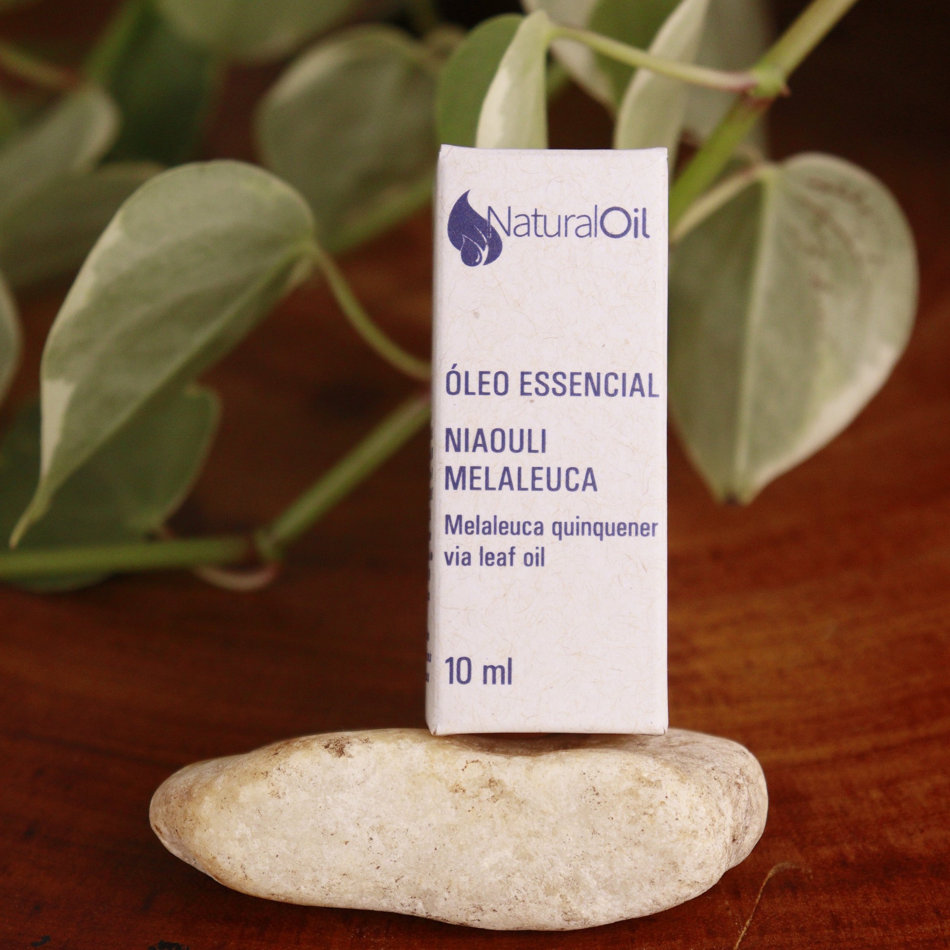 óleo essencial niaouli melaleuca 10ml