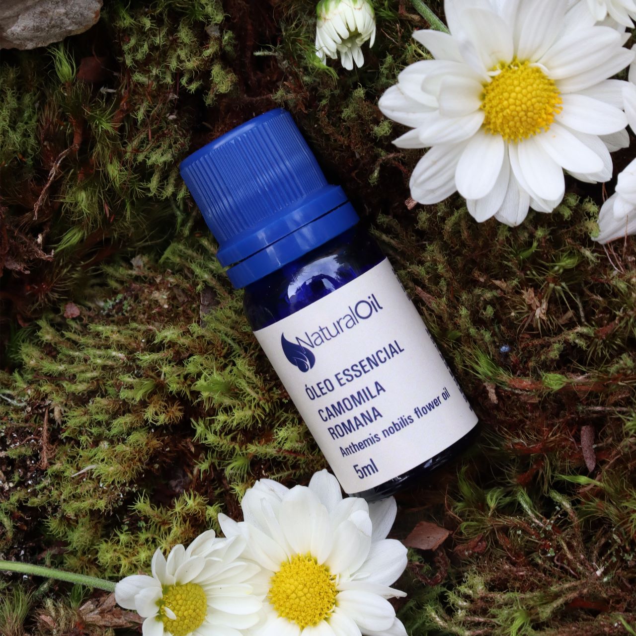 Óleo Essencial Camomila Romana