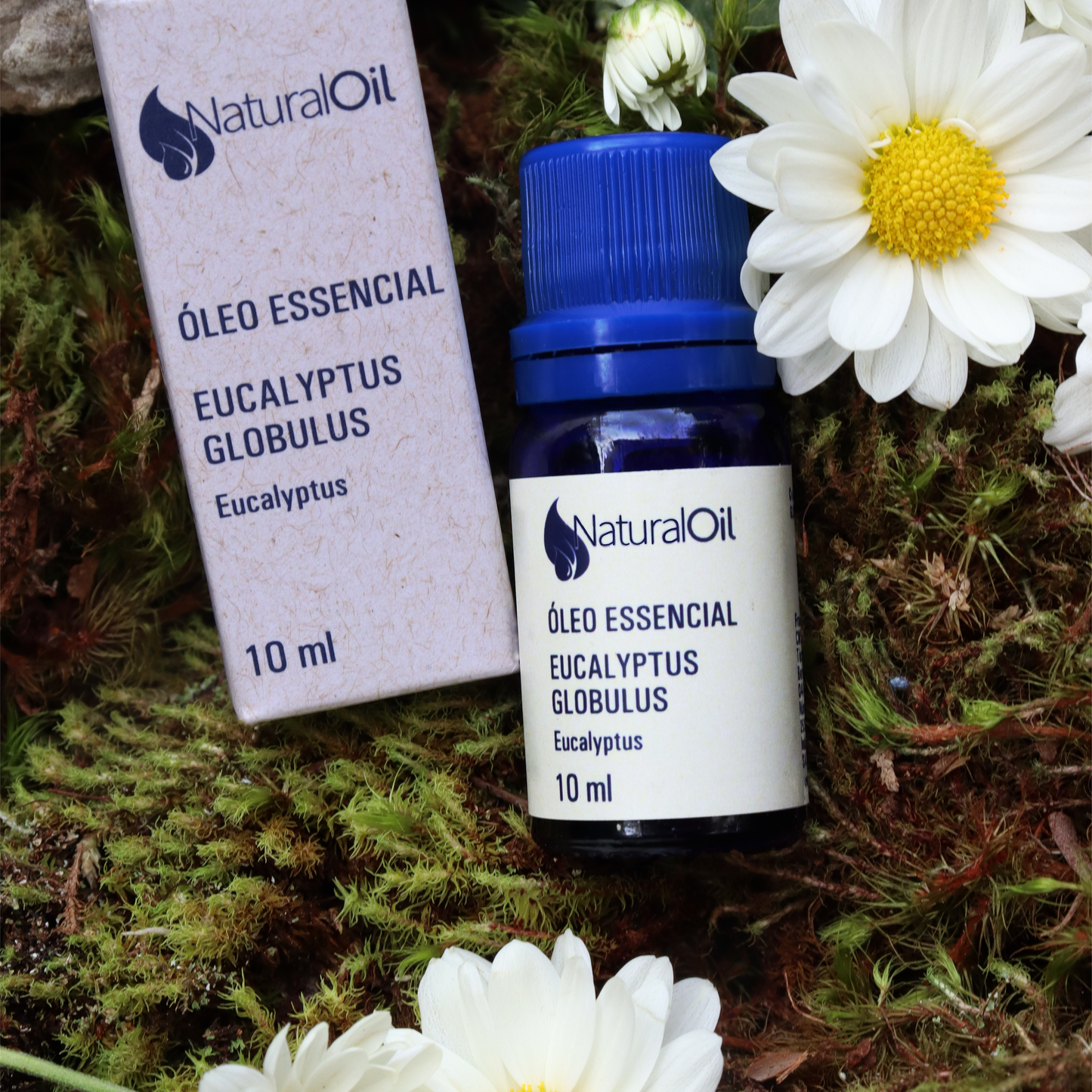 Óleo Essencial Eucalipto Globulus