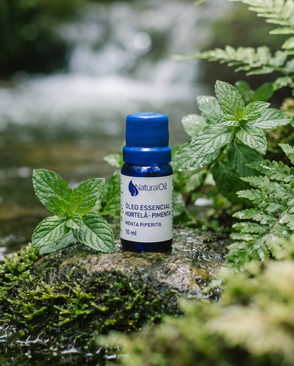 Eucalyptus Globulus Essential Oil