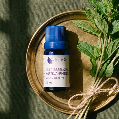 Eucalyptus Globulus Essential Oil